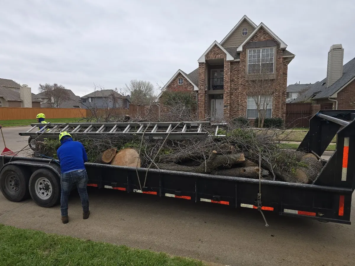 Expert Tree Pest Control with proper safety equipment in Brilliant